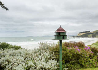 The Lookout - Absolute Beachfront, Karitane