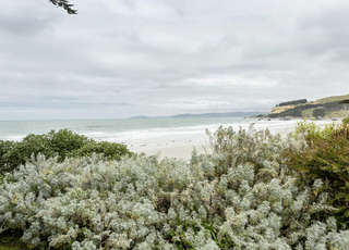 The Lookout - Absolute Beachfront, Karitane