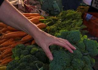 Otago Farmers Market