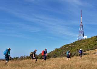 Mount Cargill